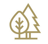 Fourth Floor Green Roof Plaza