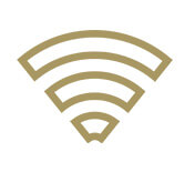 Fiber-Optic Internet