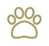 Pet-Friendly Living & Amenities